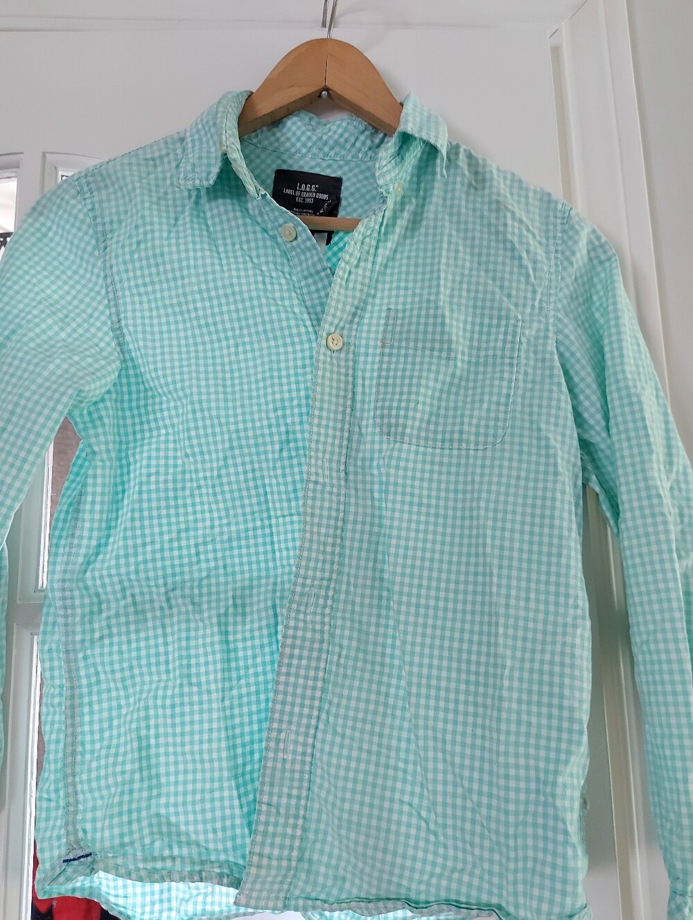 Youth Mint Green Gingham Button-Down Shirt